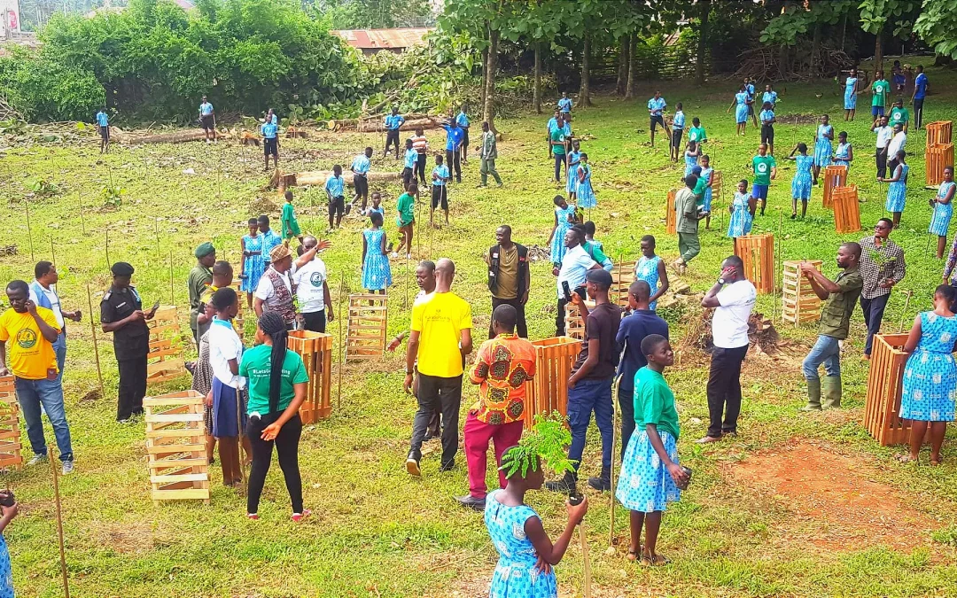 KWAEBIBIREM MUNICIPAL ASSEMBLY OBSERVES GREEN GHANA PROJECT ON 9/06/23