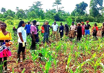 REPORT ON FARMER FIELD ORGANIC DEMONSTRATION ON 15/05/24